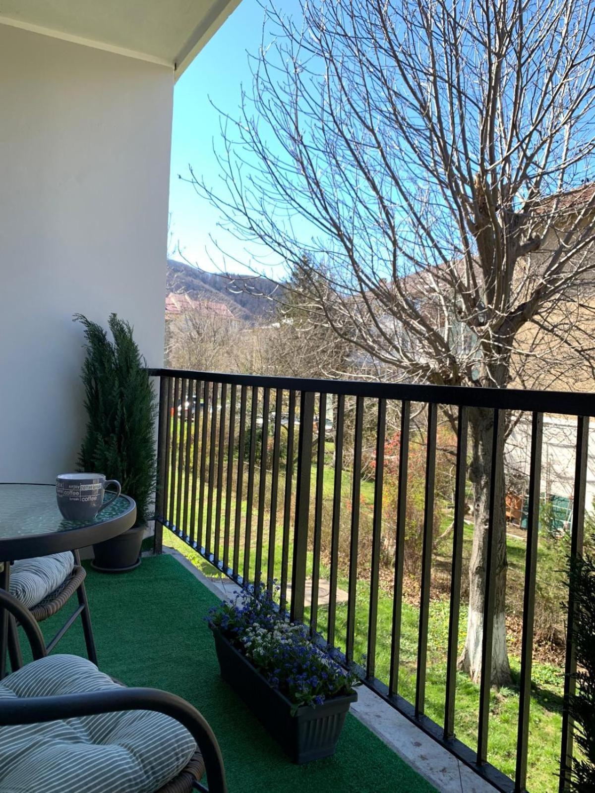 Rose Apartment Piatra Neamţ Екстериор снимка