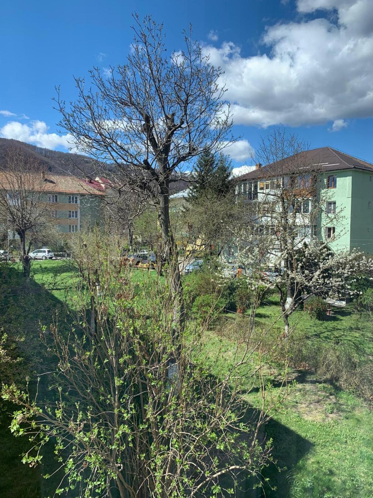 Rose Apartment Piatra Neamţ Екстериор снимка